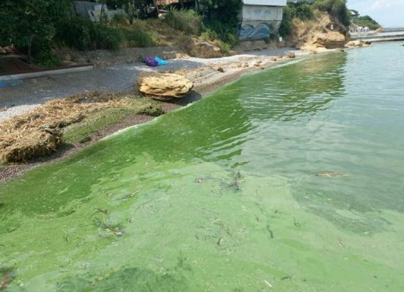 La Odesa Marea Neagră e plină de bacterii toxice ODESA