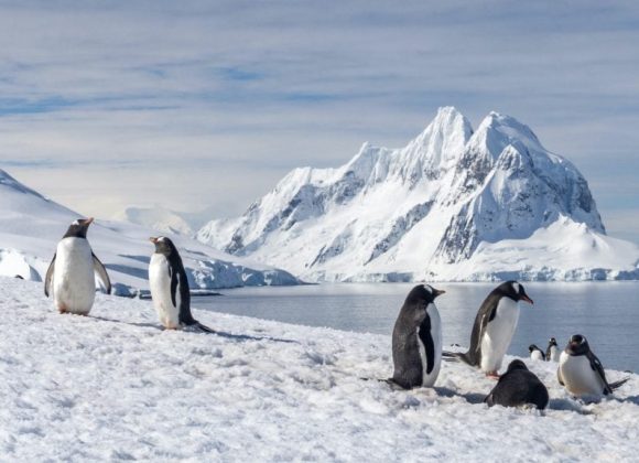 Antarctica