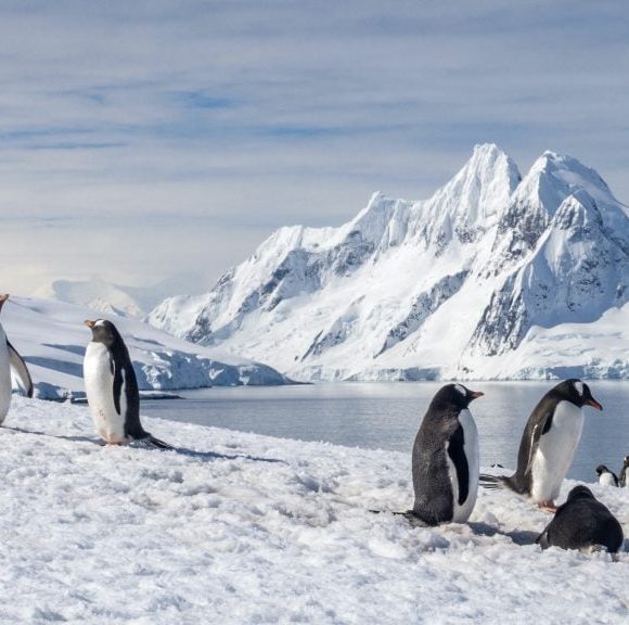 Antarctica