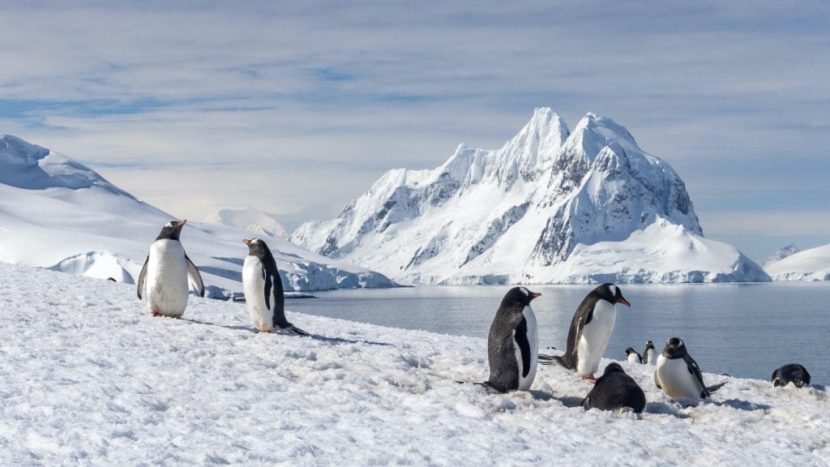 Croazieră de lux in Antarctica din București: 14.449 euro/persoană Antarctica