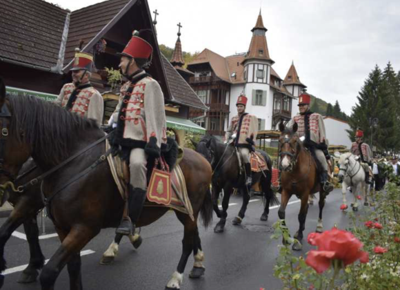 Toate locurile de cazare din Sovata s-au epuizat inainte de Festivalul Dovleacului Captură de ecran din 2026-10-09 la 14.03.20